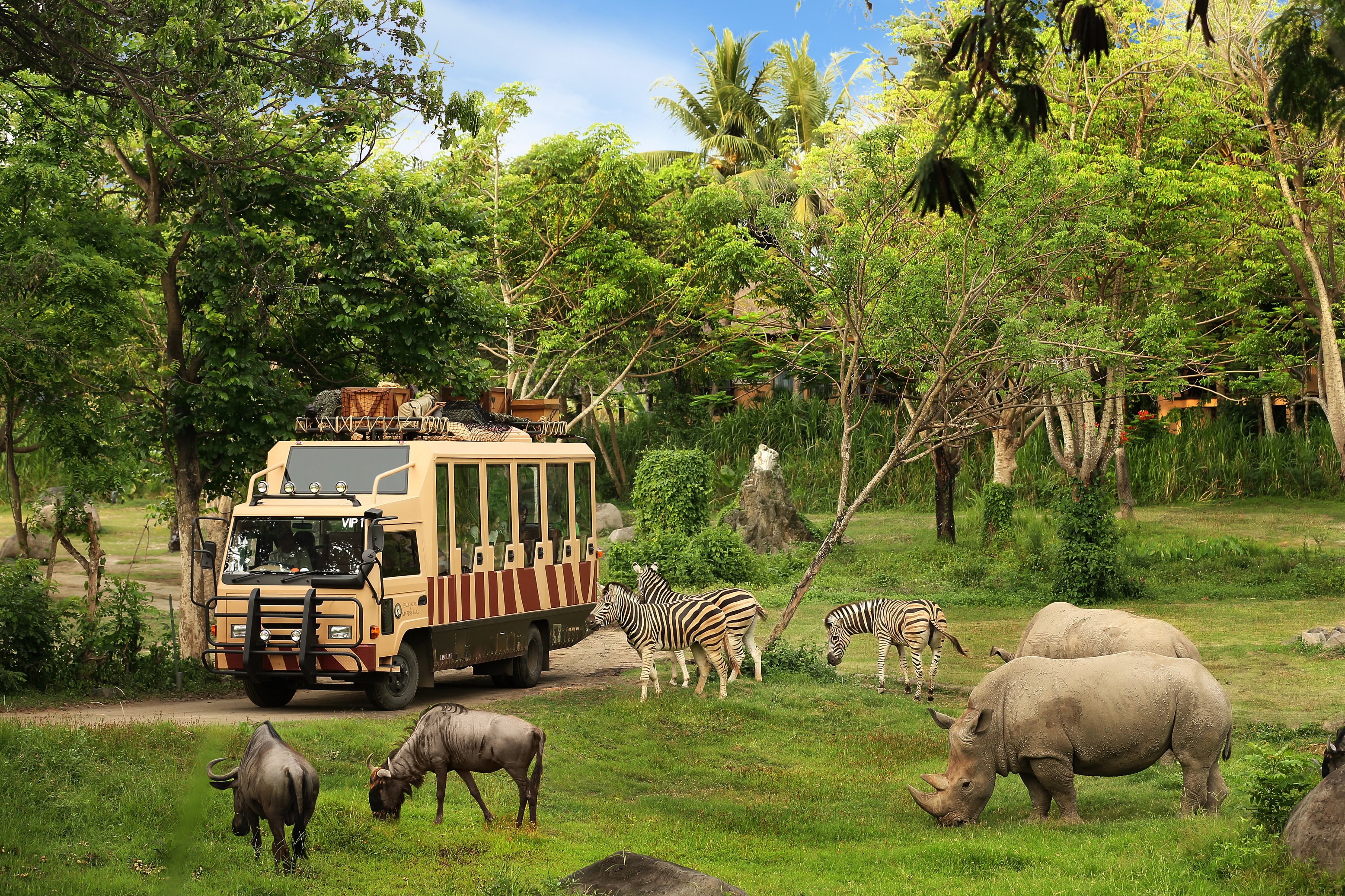 발리 사파리 티켓 (The Amazing Taman Safari Bali Ticket)